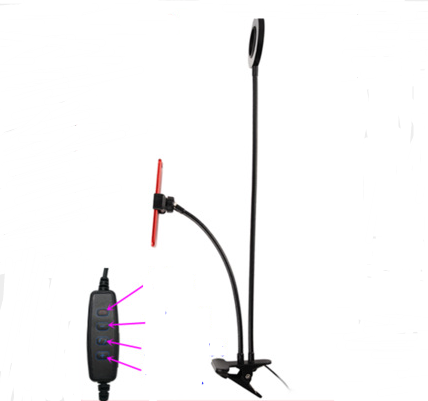 Phone Stand with Ring Light for Live Streaming